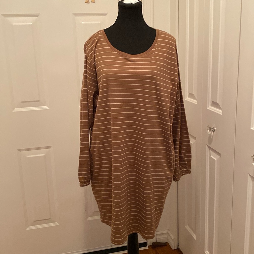 NWT Fransa Dress